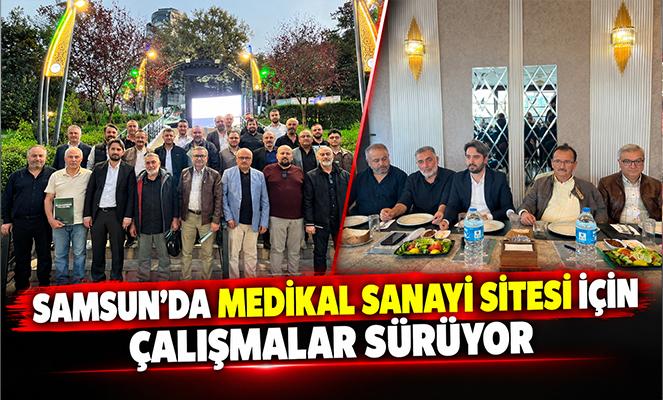 Samsun'da Medikal Sanayi Sitesi için çalışmalar sürüyor