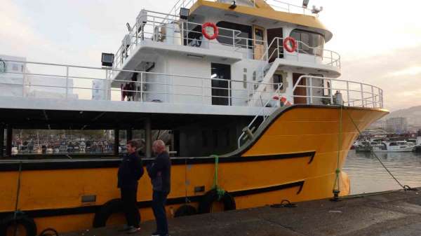 Karadeniz'den bu sezon adeta hamsi fışkırıyor