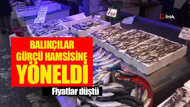 Yerli Hamsi Kalmayınca Balıkçılar Gürcistan Hamsisine Yöneldi! 