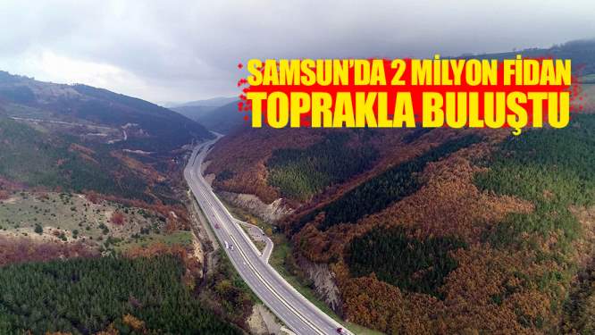 Samsun'da 2 milyon fidan toprakla buluştu!