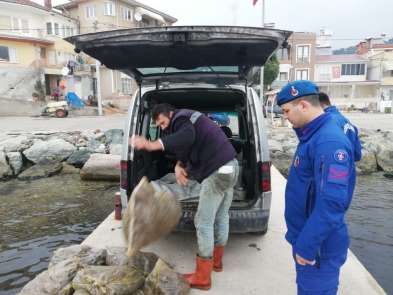 Bursa'da 1.5 ton kaçak midye ele geçirildi