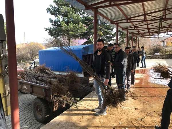 Kütahya İl Özel İdaresi'nden ayva fidanı desteği