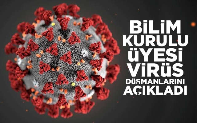 Bilim kurulu üyesi korona virüs düşmanlarını açıkladı