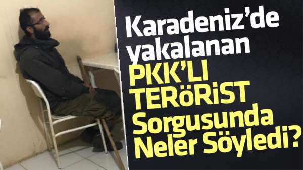 Karadeniz'de yakalanan terörist tutuklandı