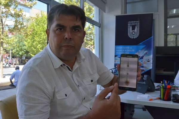 Lüleburgaz'da 300 köpeğin kaybolduğu iddiası