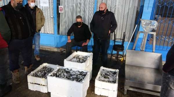 Balıkçılar gelecek yıl Karadeniz'de hamsi bolluğu bekliyor 