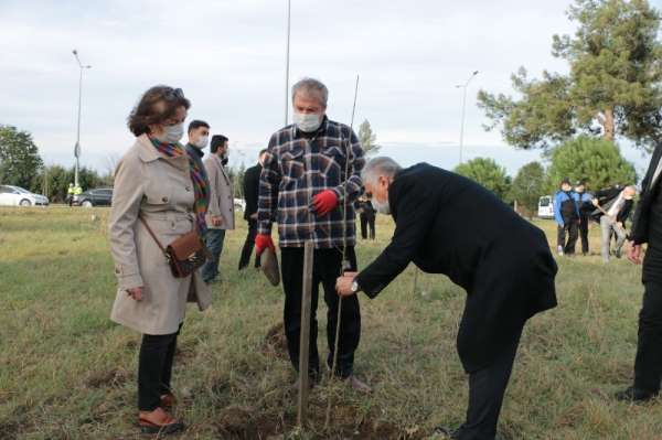 EMŞAV'dan Şehit ve Gaziler Hatıra Ormanı'na fidan dikimi 