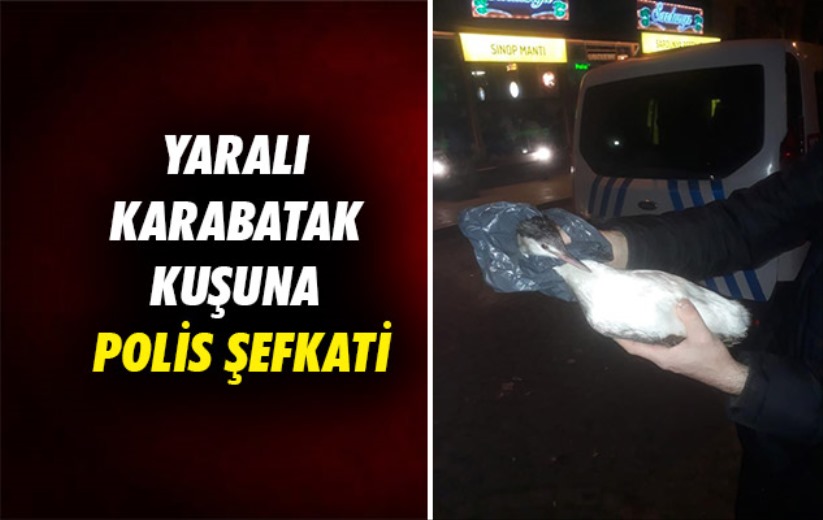 Samsun'da yaralı karabatak kuşuna polis şefkati