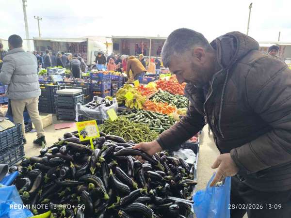 Antalya'daki olumsuz hava şartları patlıcanın tadını kaçırdı