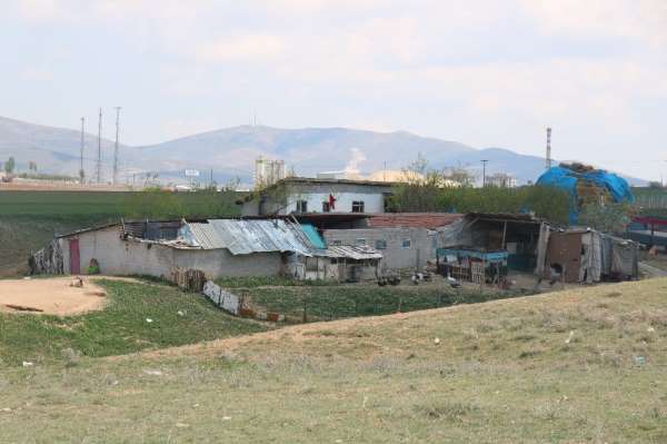 Kırşehir'de çiftlik evinde köpek saldırısına uğrayan çocuk hayatını kaybetti 