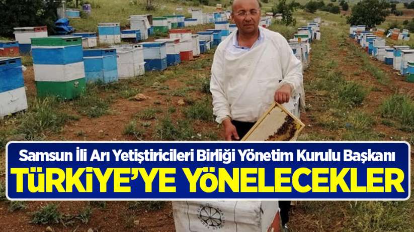 Samsun Arı Yetiştiricileri Başkanı açıkladı! Türkiye'ye yönelecekler