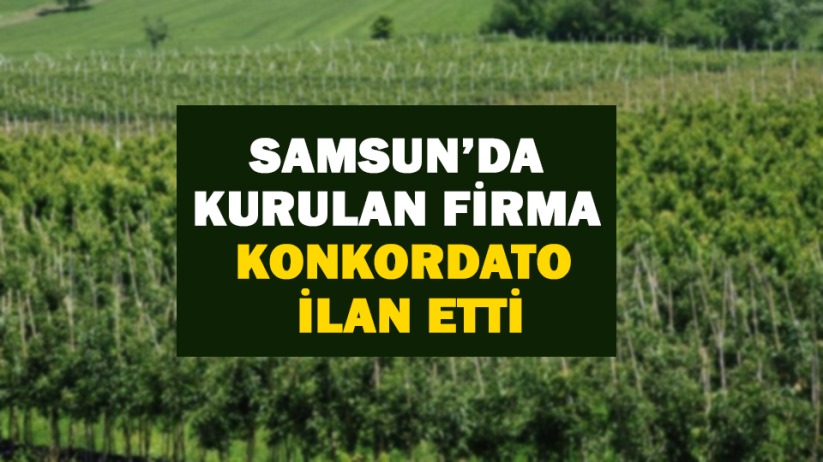 Samsun'da kurulan firma konkordato ilan etti