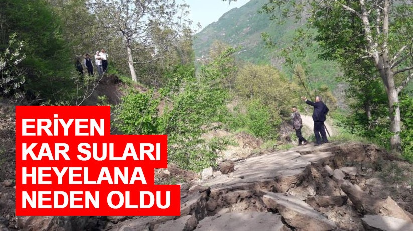 Eriyen kar suları heyelana neden oldu