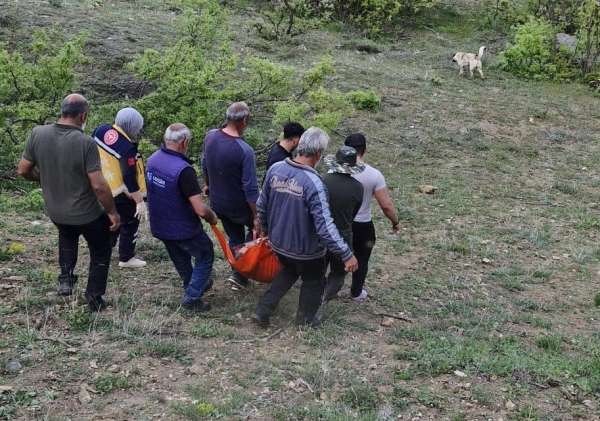 Tunceli'de ayının saldırısına uğrayan adam yaralandı