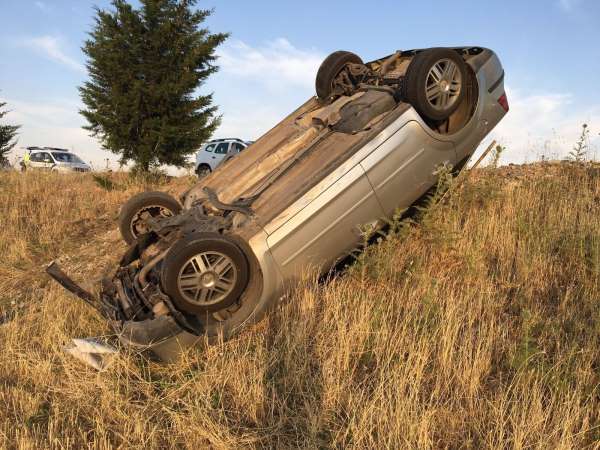 Adıyaman'da keklik sürüsü kazaya neden oldu
