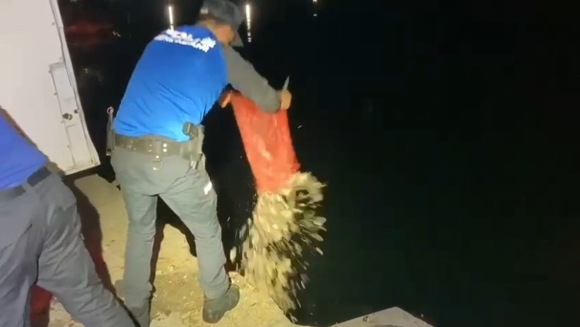 Samsun'da 2 ton 900 kilo kaçak midye ele geçirildi