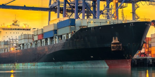 Pro Marine Lojistik: Uluslararası Taşımacılık ve Lojistikte Güvenilir Çözümler