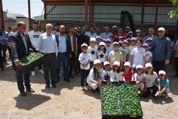 Güroymak'ta fide ve tohum dağıtımı yapıldı