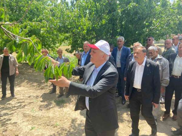 TZOB Başkanı Bayraktar: '65 vilayetimizde büyük bir zirai don felaketi ile karşı karşıya kaldık'