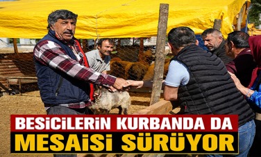 Besicilerin kurbanda da mesaisi sürüyor