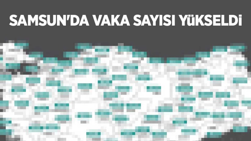 Samsun'da vaka sayısı yükseldi