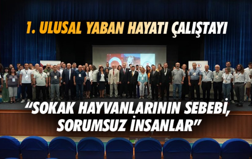 1. Ulusal Yaban Hayatı Çalıştayı: 'Sokak hayvanlarının sebebi, sorumsuz insanlar'