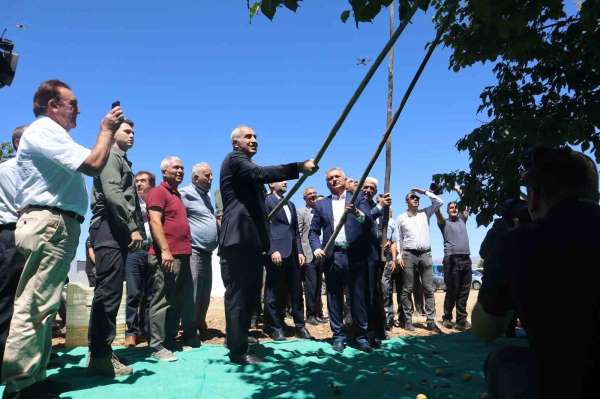 Malatya'da kayısı hasat şenliği düzenlendi