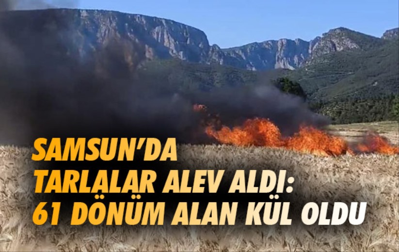 Samsun'da tarlalar alev aldı: 61 dönüm alan kül oldu
