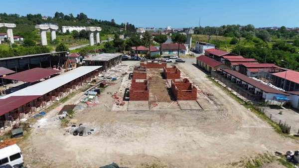 Ordu'da sokak hayvanlarına modern yaşam alanı