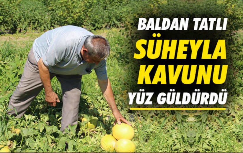 Baldan tatlı Süheyla kavunu yüz güldürdü