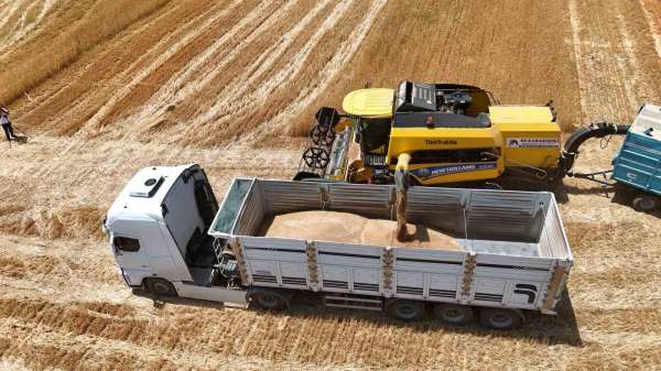 Bitlis'te buğday ve arpada rekor gelir