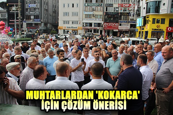 Muhtarlardan 'kokarca' için çözüm önerisi