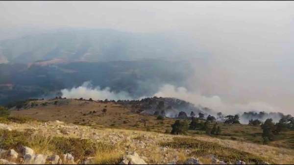 Amasya'da orman yangını