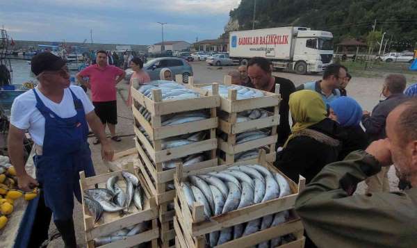 Karadeniz'de balıkçılar kasa kasa palamutla döndü: Vatandaşlara ücretsiz dağıtıldı