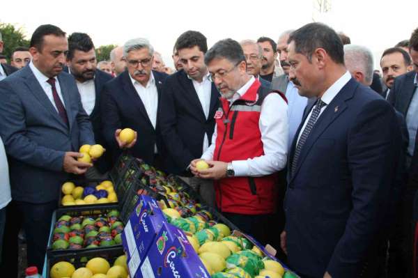 Bakan Yumaklı, narenciye hasadında sezon açılışını yaptı