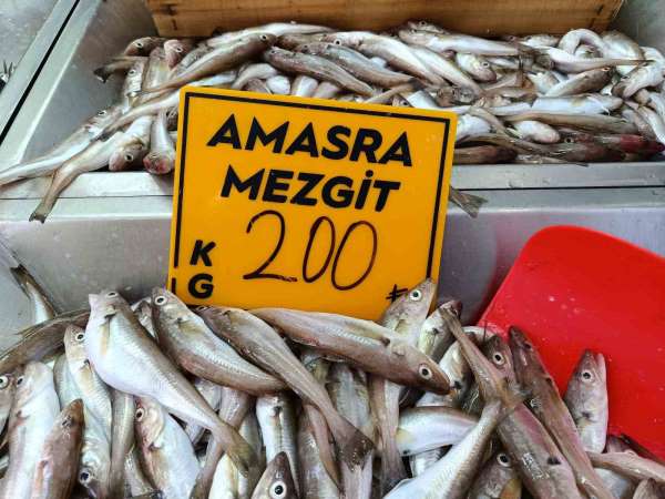 Balıkçılar palamut için 'kestane karası'nı bekliyor