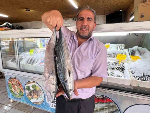 Deprem sonrası Kahramanmaraş'tan 54 ülkeye balık ihracatı