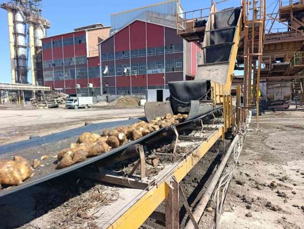 Malatya Şeker Fabrikası'nda 62 bin ton şeker üretimi hedefleniyor