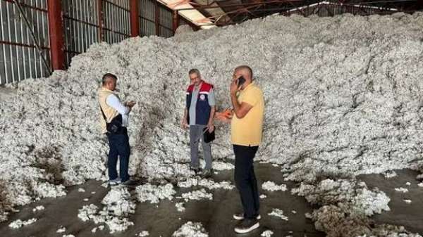 Söke'de Kütlü Pamuklarda Kaliteyi Koruma Komisyonu yeni sezon çalışmalarına başladı