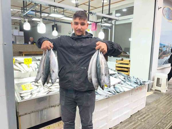 Sinop'ta palamut 50 lira
