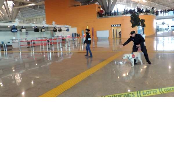 Kars Harakani Havalimanı'nda silahlı saldırı tatbikatı gerçeği aratmadı 