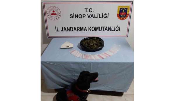 Sinop'ta uyuşturucu madde imal ve ticaretinden 2 kişi gözaltına alındı