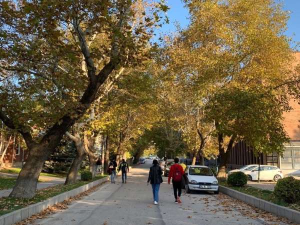 Anadolu Üniversitesi'nde eşsiz sonbahar manzaraları
