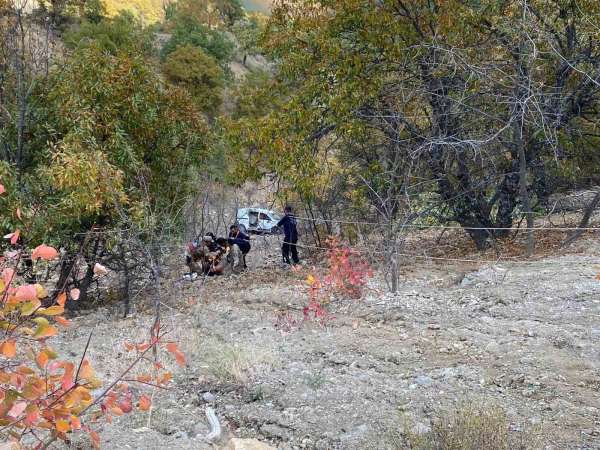 Tunceli'de trafik kazası: 2 yaralı