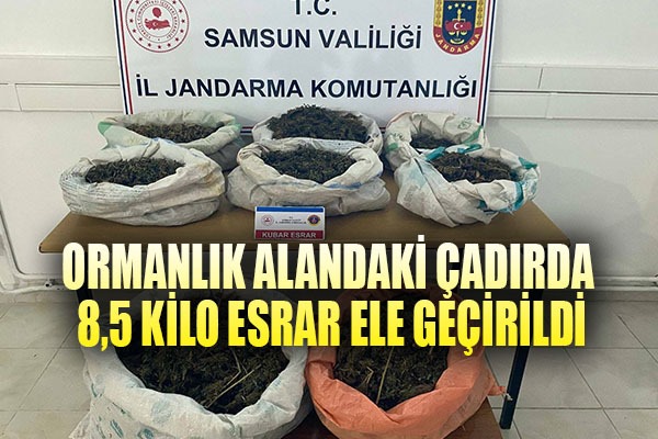 Ormanlık alandaki çadırda 8,5 kilo esrar ele geçirildi