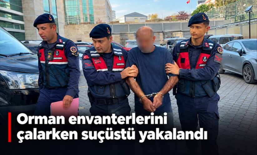 Orman envanterlerini çalarken suçüstü yakalandı