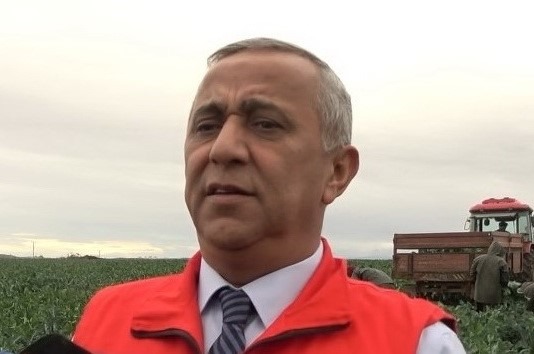 Samsun tarım ürünlerinde Türkiye'de ilk sıralarda
