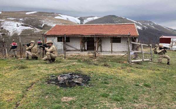 Amasya'da jandarma komandolardan yayla evlerine huzur operasyonu
