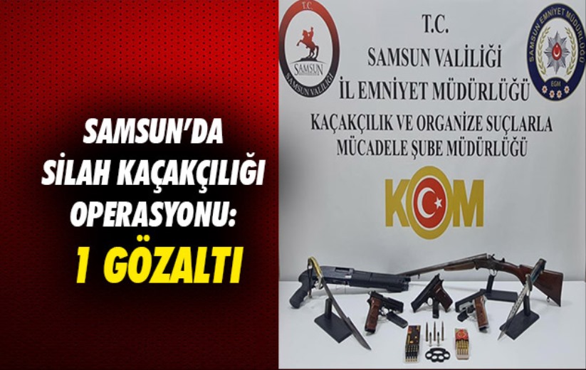 Samsun'da silah kaçakçılığı operasyonu: 1 gözaltı