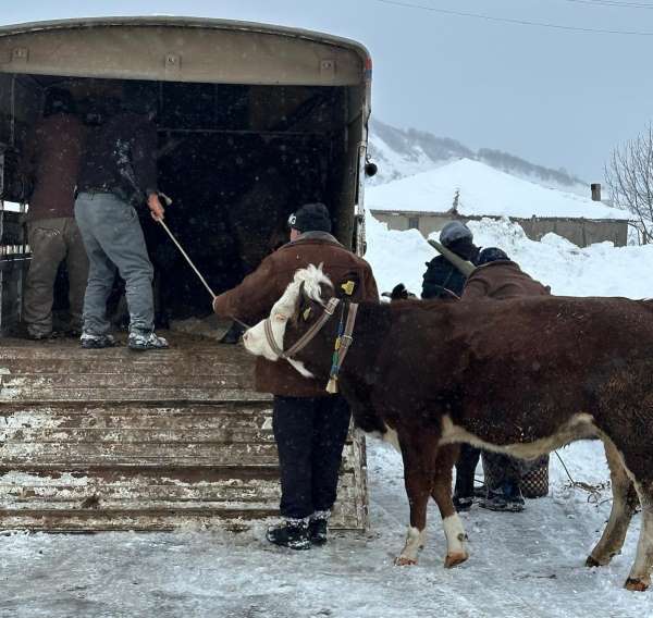 Ordu'da kar nedeniyle yaylada mahsur kalan vatandaşlar kurtarıldı